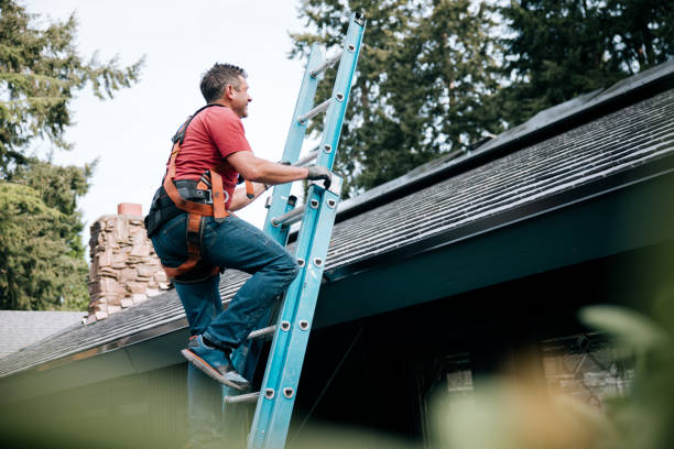 Best Solar Panel Roofing Installation  in Boaz, WV